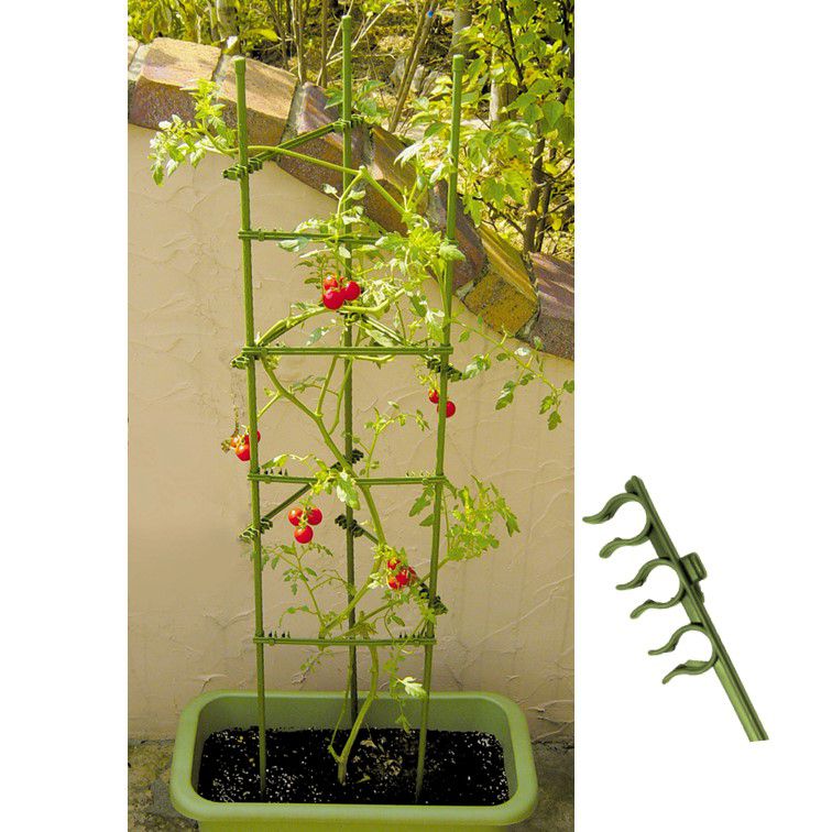 Plant Support Stakes Kit