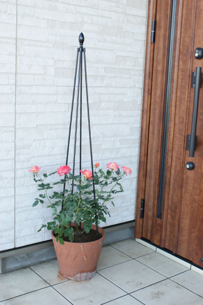 Flower supports - Pyramid Topiary Trellis
