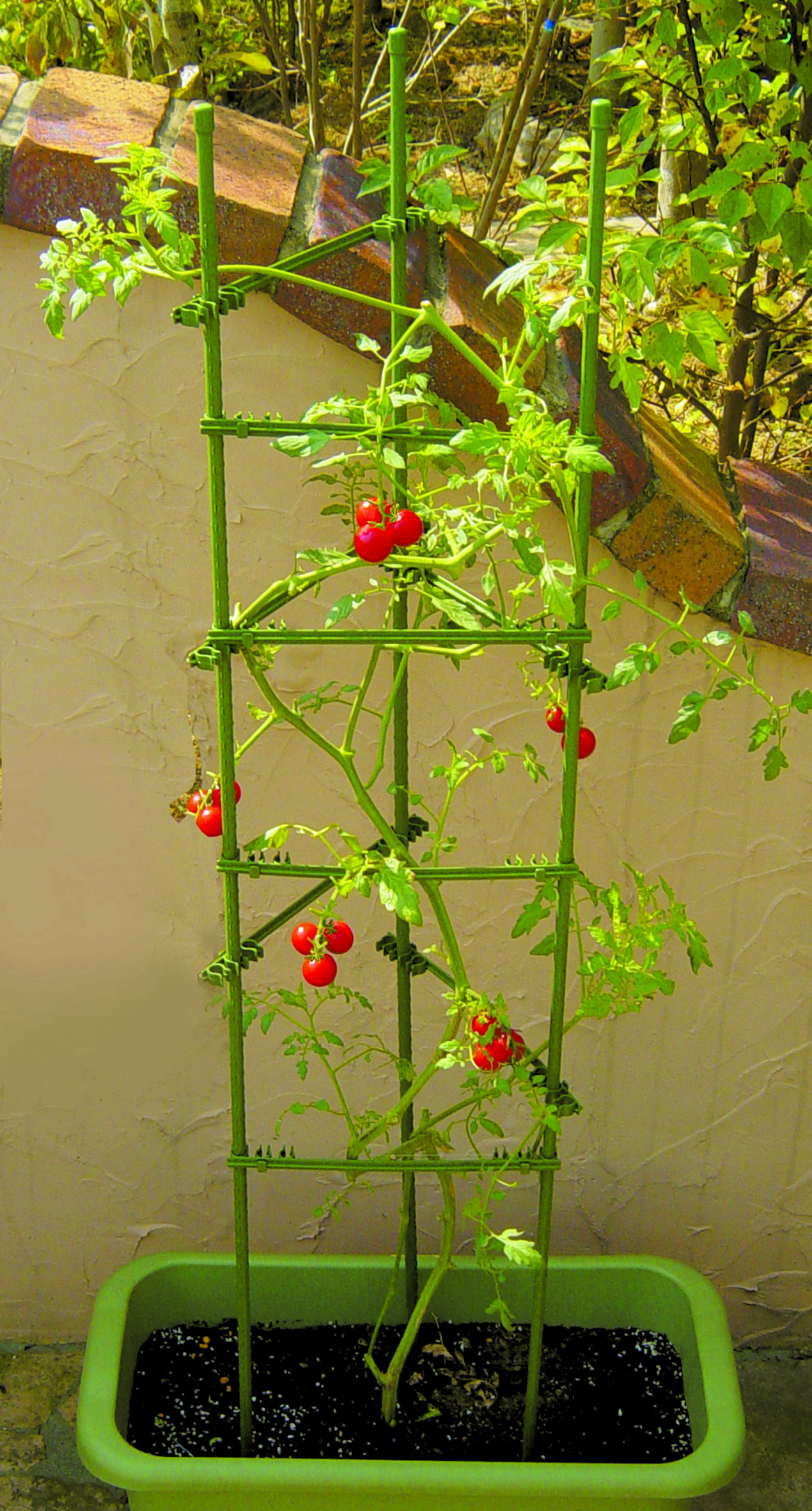 Plant supports