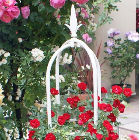 Cách làm giàn hoa từ khung hoa tháp chuông