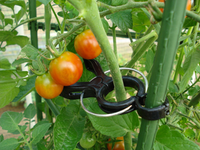 Daim garden supplies make it easier to make a vegetable tower