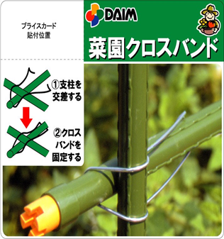 Daim's crossband connector effectively supports making tomatoes trellis