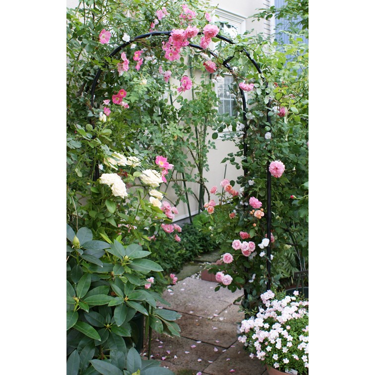 Flower arch is a sturdy pillar for blooming roses