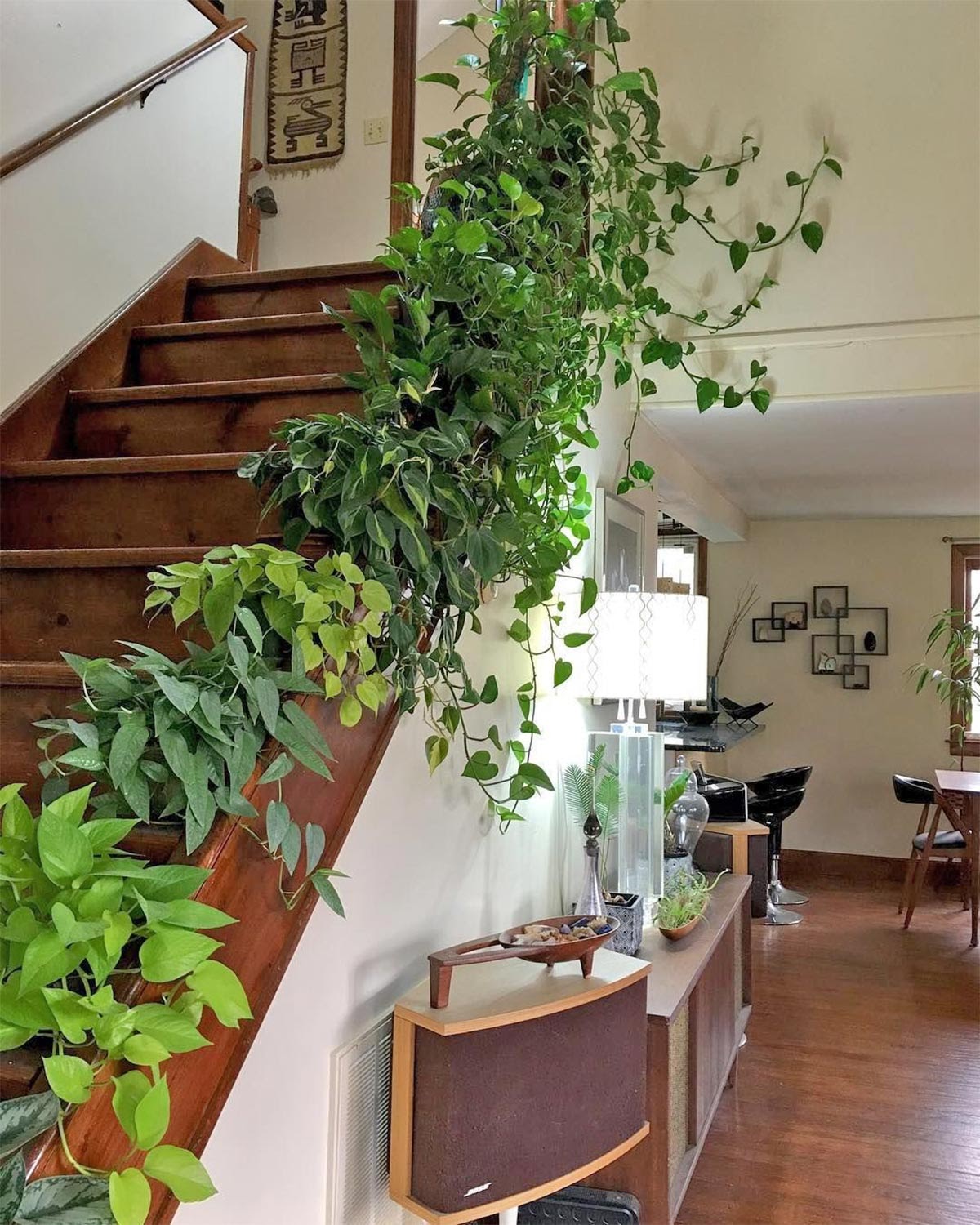 Wall trellis placed along the stairs