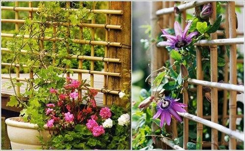 Make trellis for climbing roses from bamboos