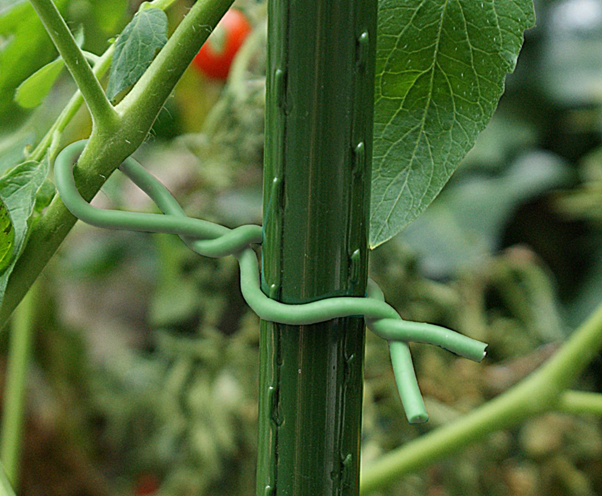 cách làm giàn trồng rau bằng ống nhựa kết hợp với dây làm vườn mềm 